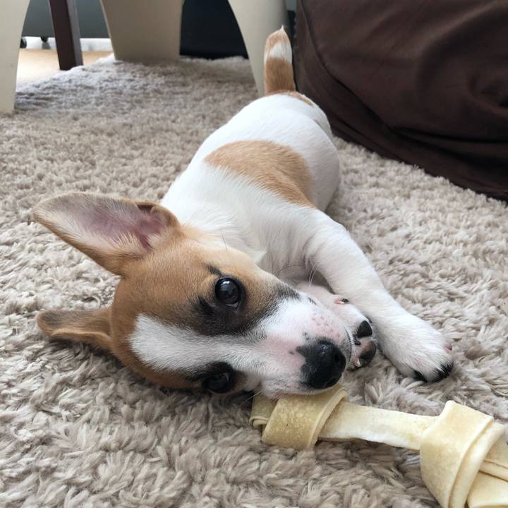 258814f1 32fd 433c ab4b 6f4cccf91154 1547904300367