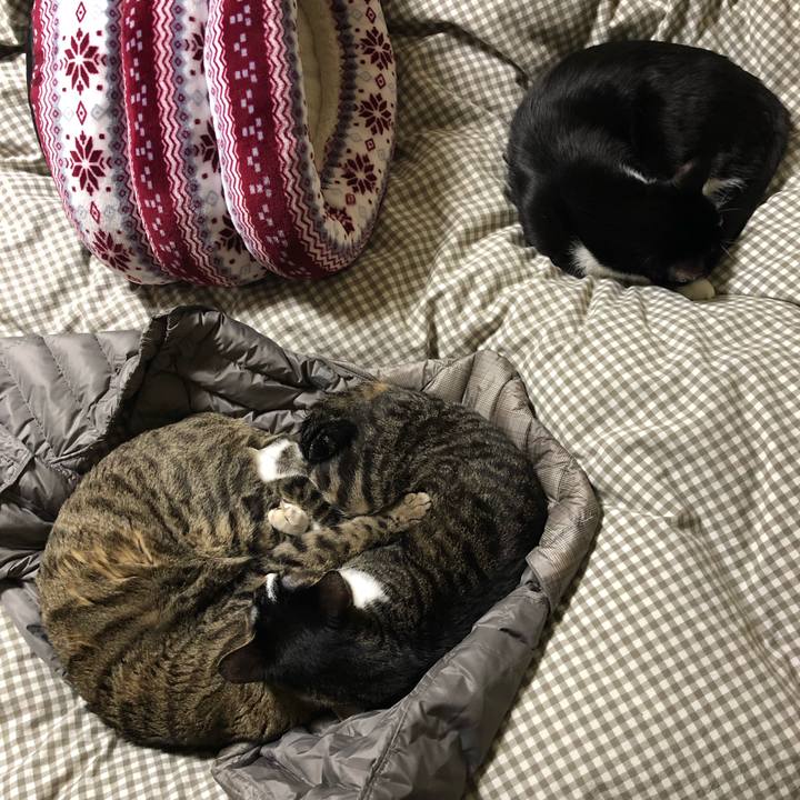 258821b2 6548 4535 8f86 2ced6465de2e 1549486379970