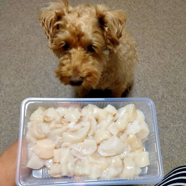 258834d1 604c 4563 b0da eac9a9d9c8ad 1588335151377