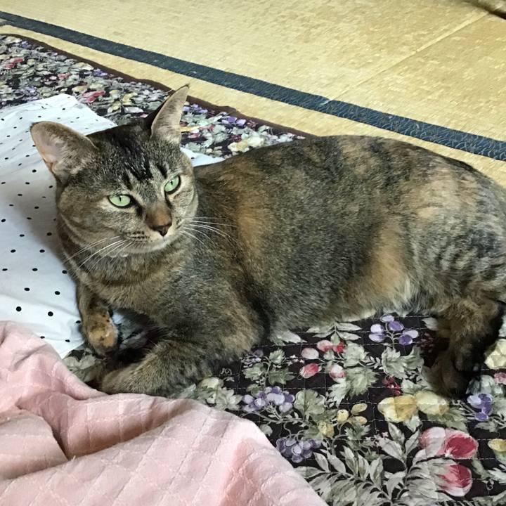 25885029 4c55 4a28 b888 28a7c0afe02d 1654997952401