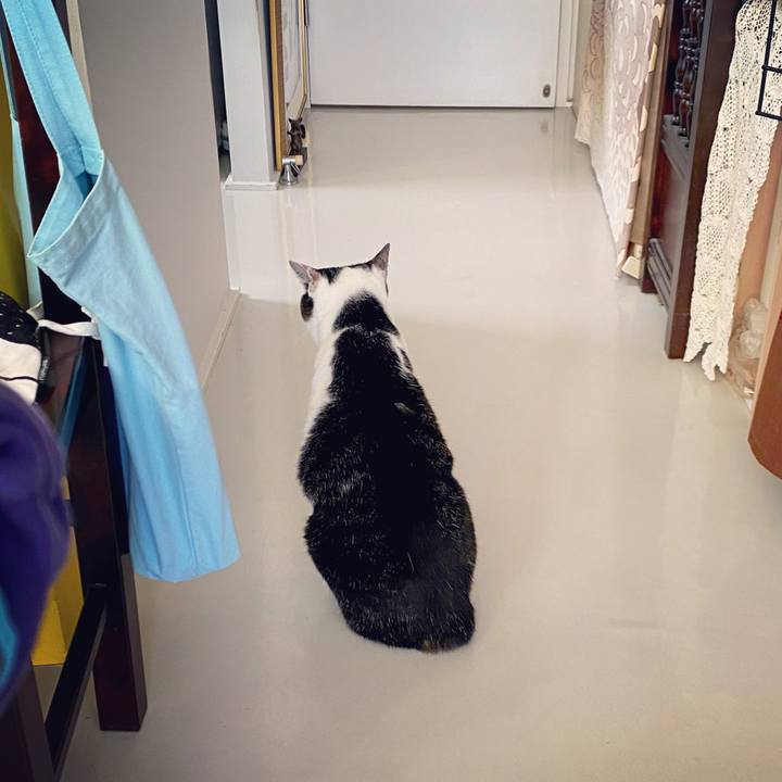 2588658e 3dcd 4f70 80a5 e1742ebe6102 1607232886633