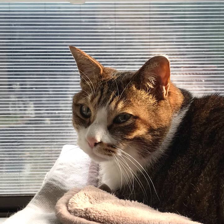 2588f4d4 04ae 4ddf 9714 ec7d60d1fe05 1615533041609