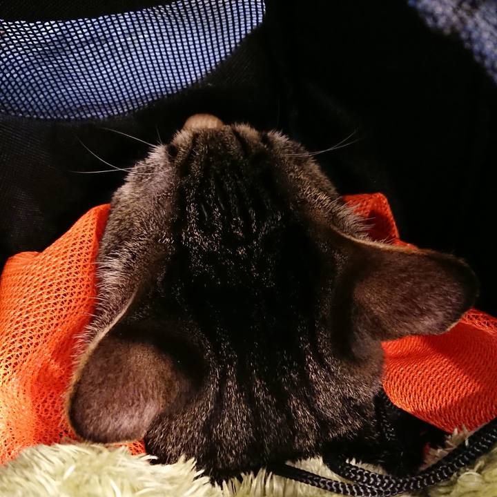 2588fcda 7579 4e73 bc52 831146850886 1518837924064