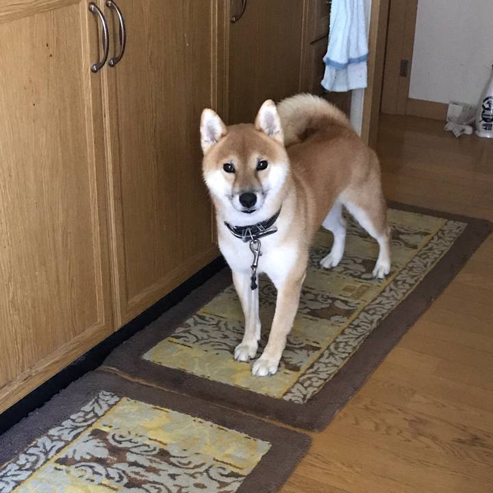 25891da4 ddc9 4d1d b7af ab6de29a657e 1535341892250