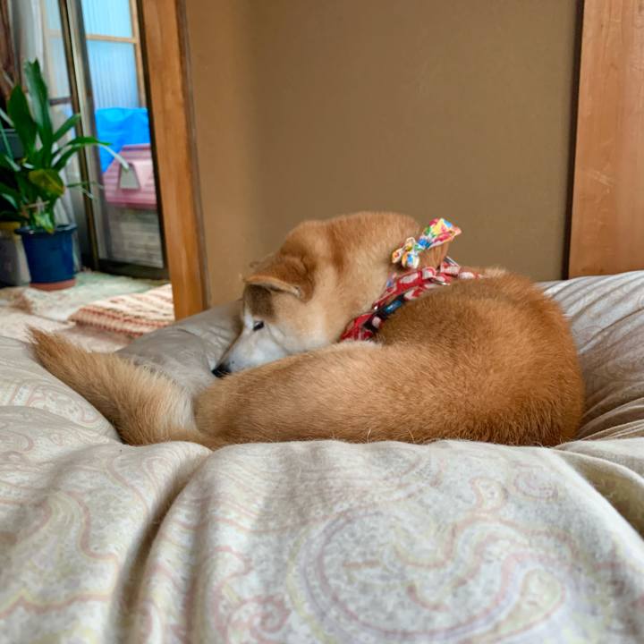 258927c2 7f75 4cf1 a77a 5e3c8e8270f6 1620204311843