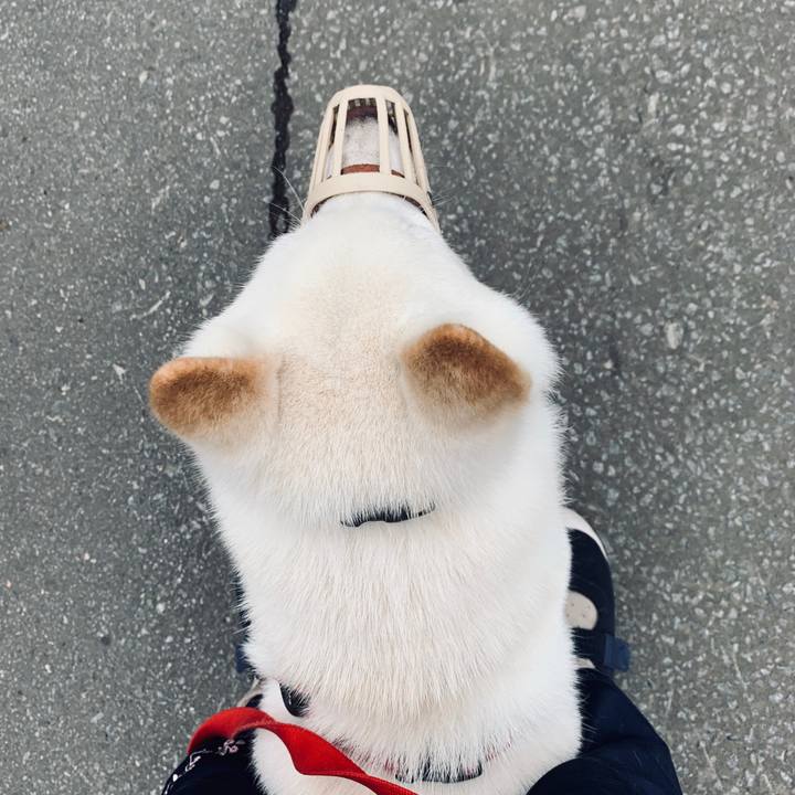 2589454d 115c 45bd b838 6bd3a512c08a 1564006076691