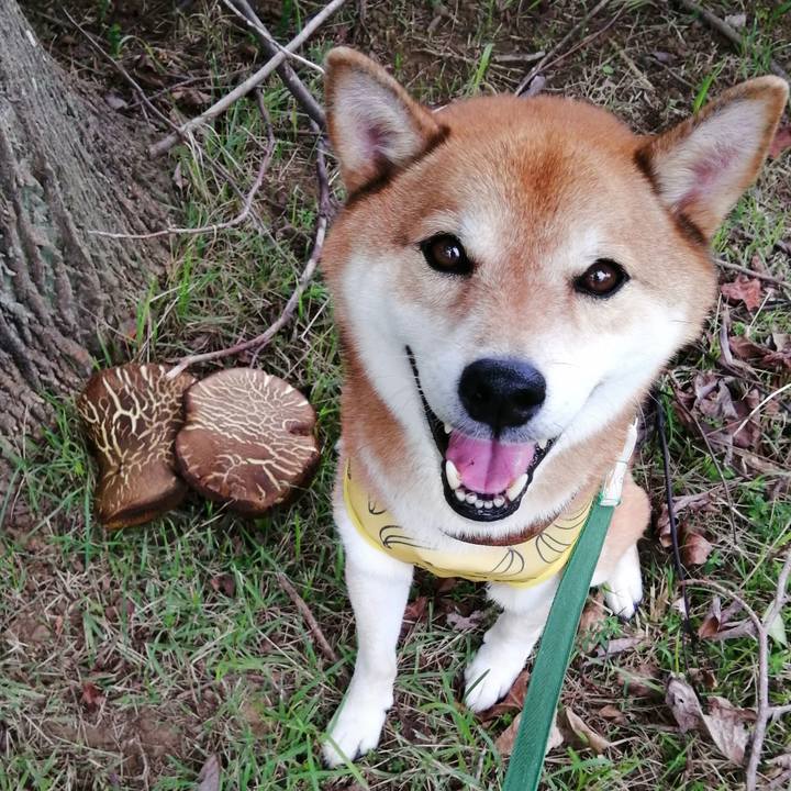 25894bdd 1448 4ab2 b2b4 63c6479112f4 1663199018043