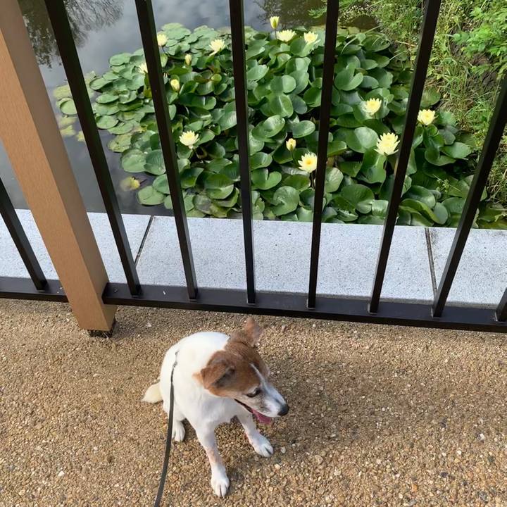 25896d78 8672 4eab b65a 67b2b2498b07 1596327148209