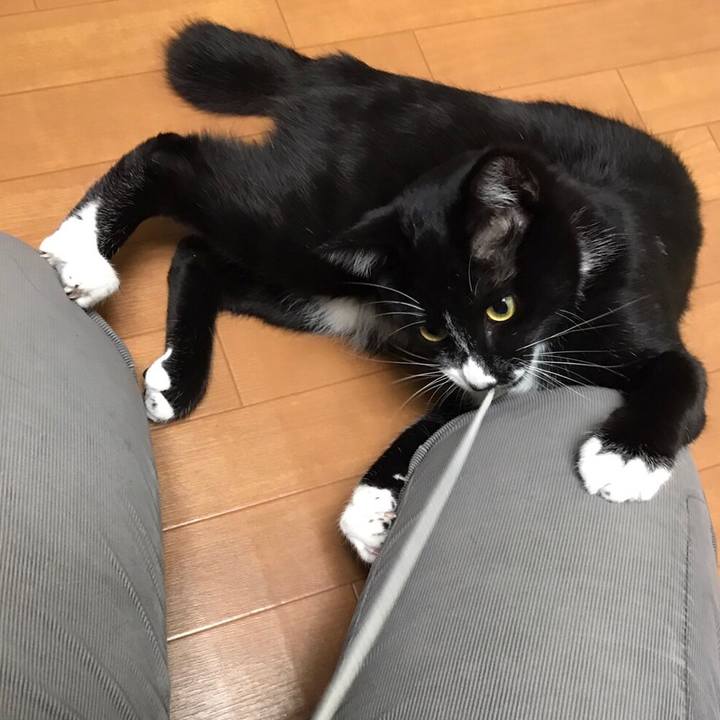 2589775e 29b3 40f8 a62d 4630713016ee 1510803982490