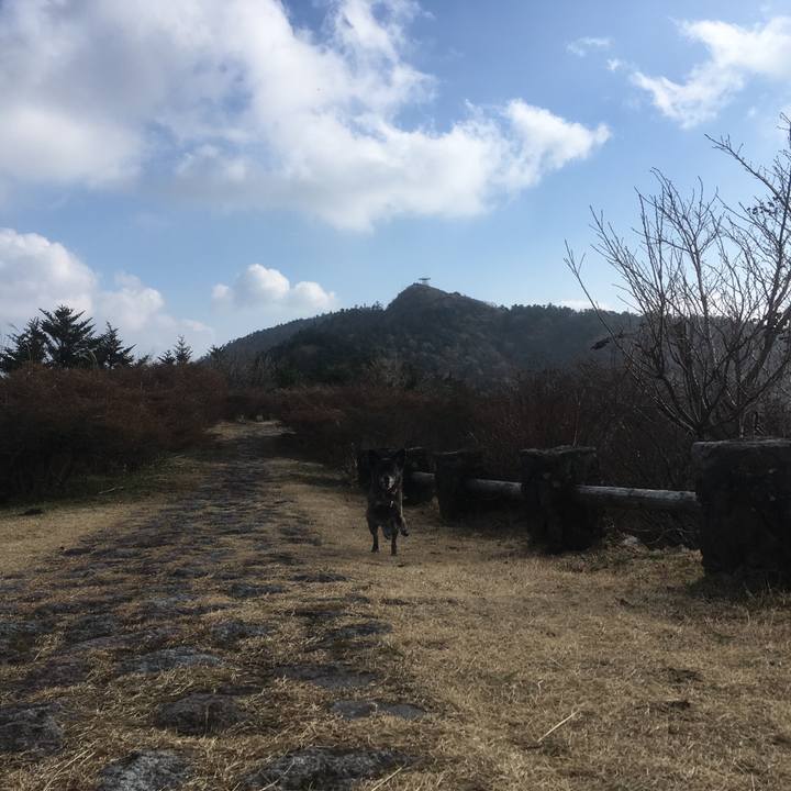 25897ff8 1e00 4604 8279 0ba4d527b62c 1545049954007