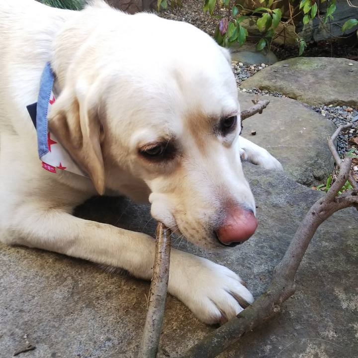 2589a8a6 9db3 4803 8af0 c7b76d4014b5 1517198885599