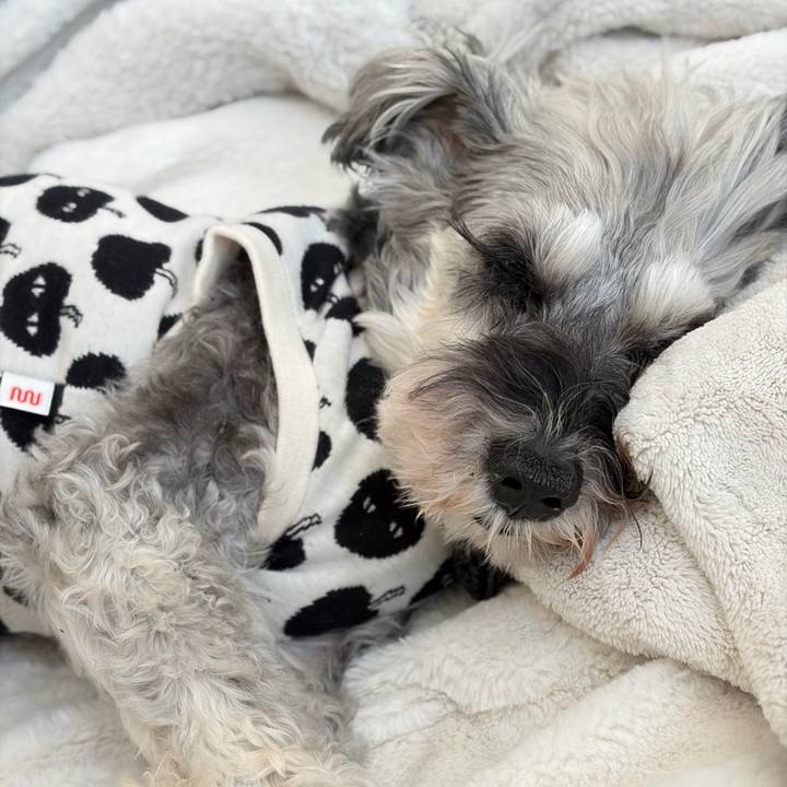 2589d637 d71d 4527 a471 6b6ecbe88a92 1771811648260