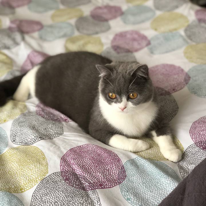 2589e6fd cae0 4895 a68c e8127ee1e4b9 1535859527582