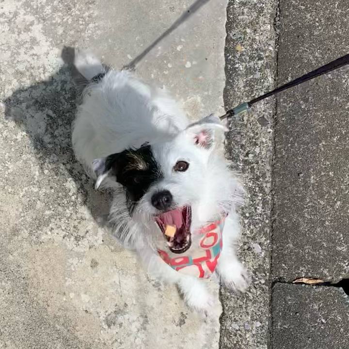 258a0425 e650 4823 b154 65dcdc8c77d6 1657583352737