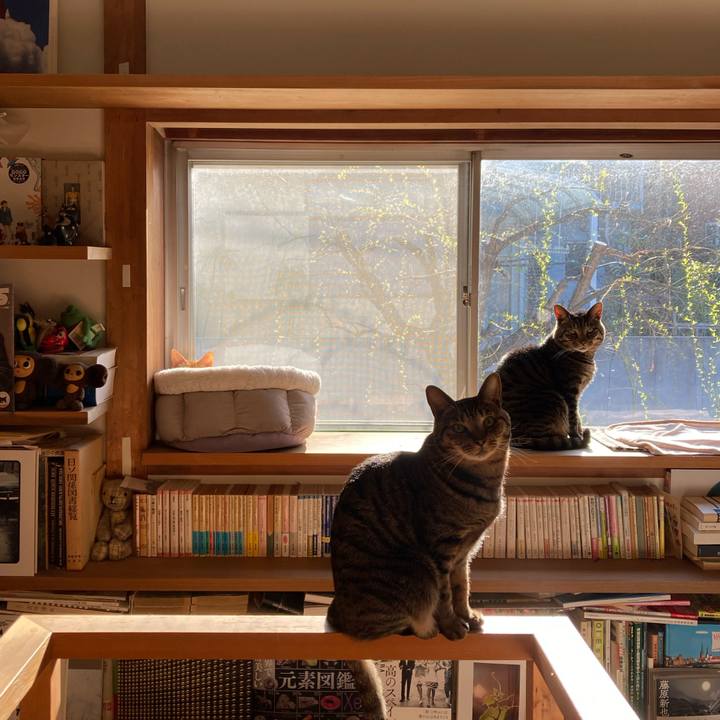 258a18a8 3dec 4a10 8893 10a873d5dd8c 1742511807319