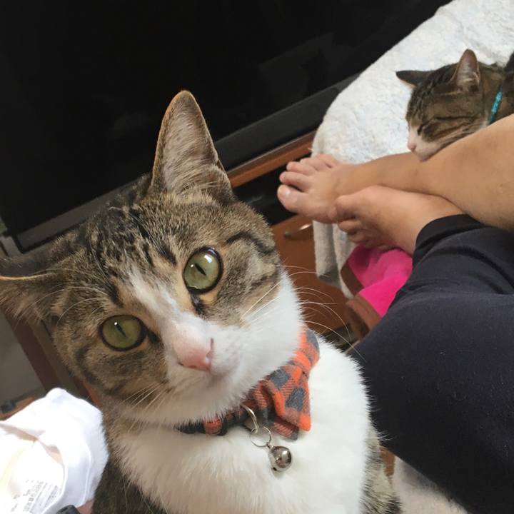 258a260d 91e6 45fd 98e4 bdf897ed1fa2 1671324176668