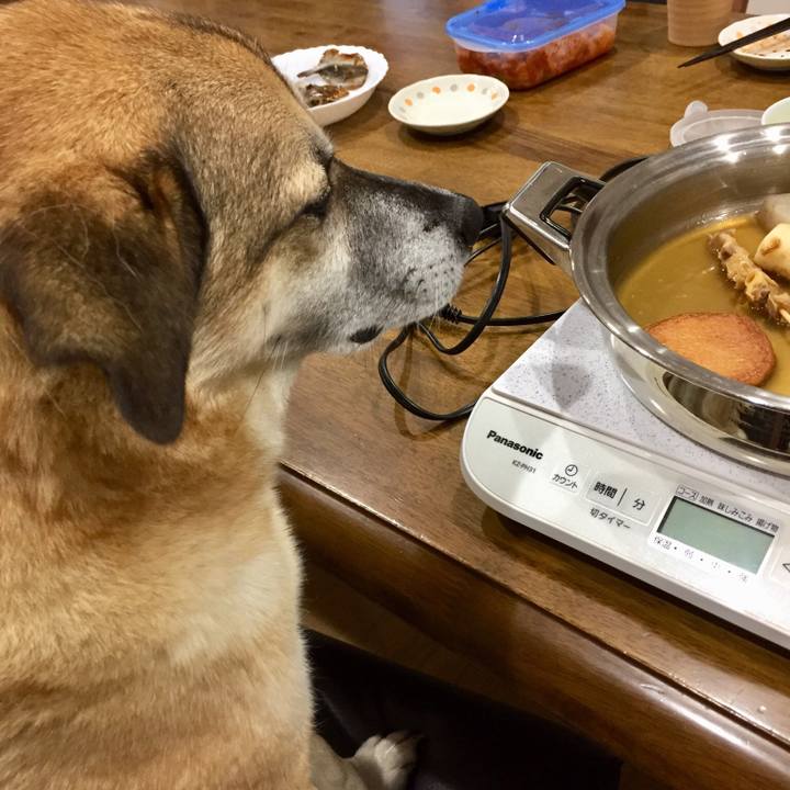 258a30ac fe7f 4f09 abe1 76f6679f7427 1547199124826