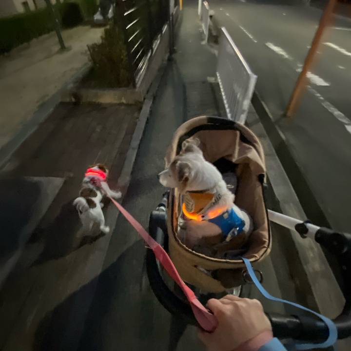 258a4b2d 10a1 4428 af8d 3c27ae50998b 1692443273210