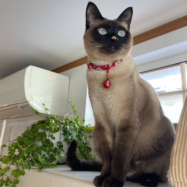 258a534b 9f93 495f bddb d994d5c6e50c 1739058836436