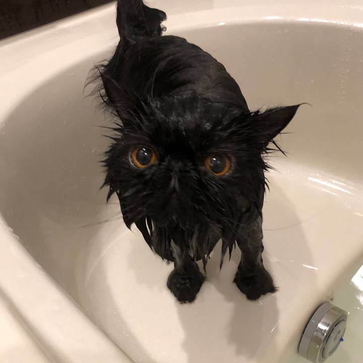 258a673d e47d 427f b749 77df65cf5eb0 1550768995309