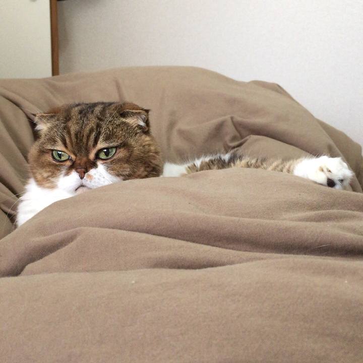 258a75d4 f3a4 4aed 8ee7 e41ff2e537e2 1511060628746