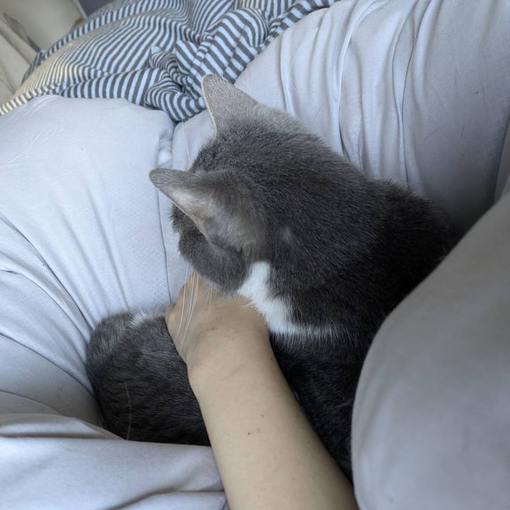 258a9ad4 bb61 4707 aa97 1bd4b8f43247 1771199590267