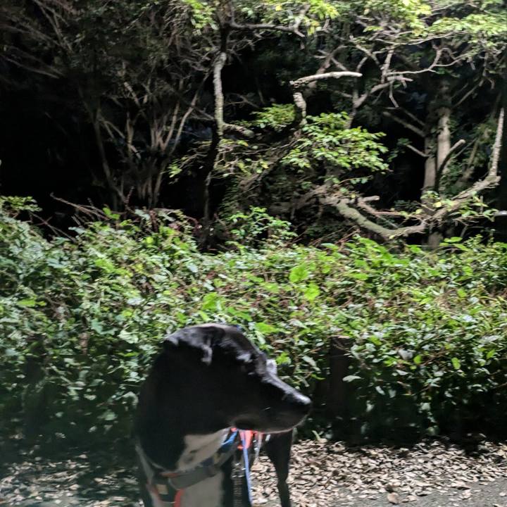 258ad95d c89f 466c 8262 ad4c53ed19f9 1728817455237