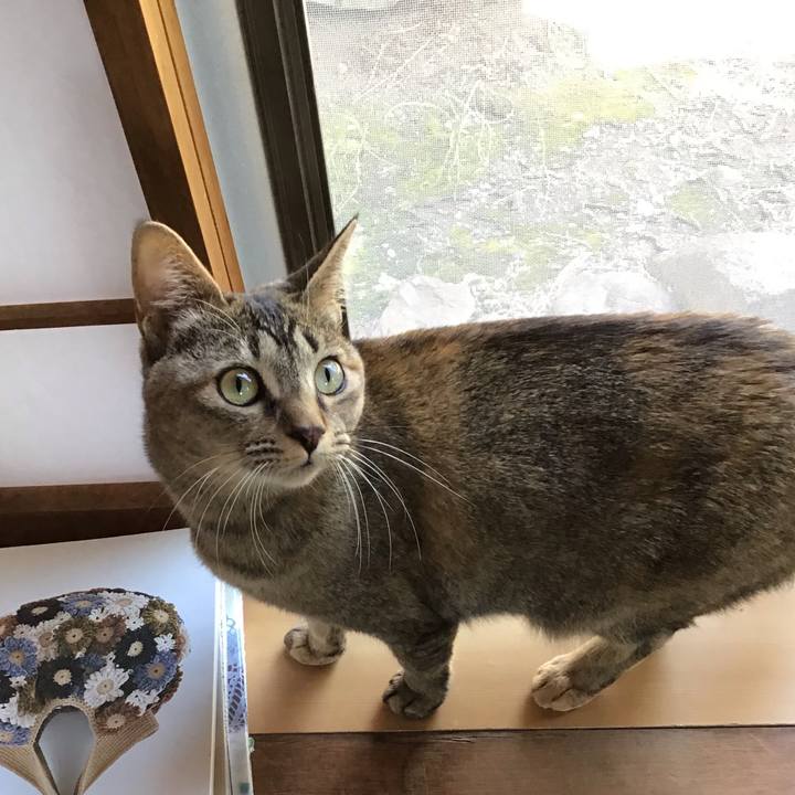 258add2d 8178 48f0 b6a9 1019bd19e40a 1584509279878