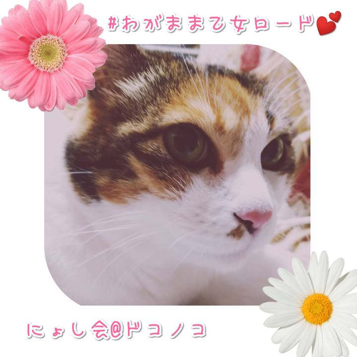 258b756b d7f8 495a b6a9 c754c15645da 1567431061963