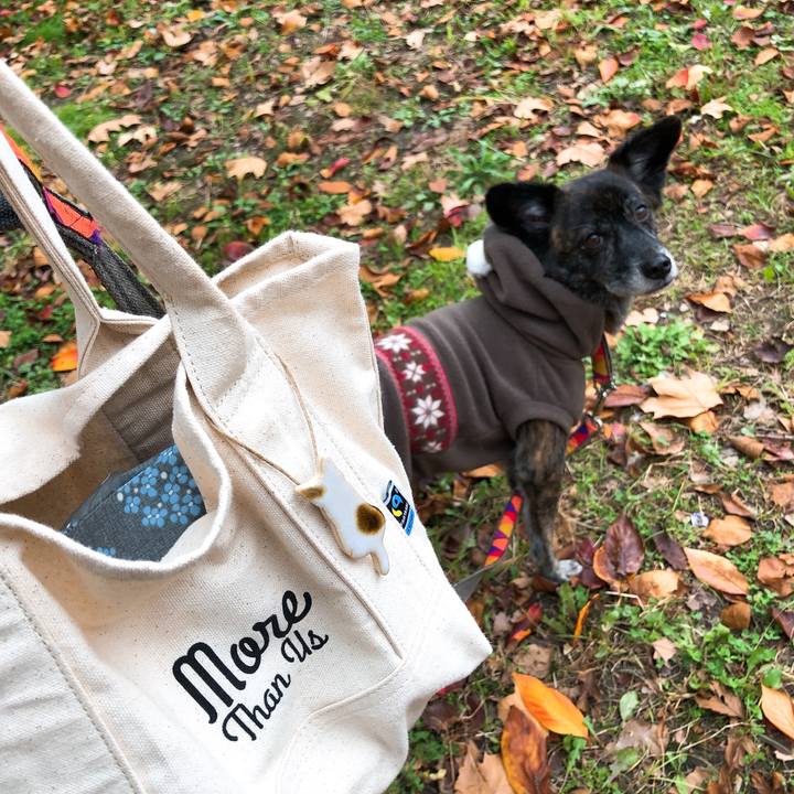 258b76d9 262a 43e0 8ad7 3675390d1e35 1575791085348