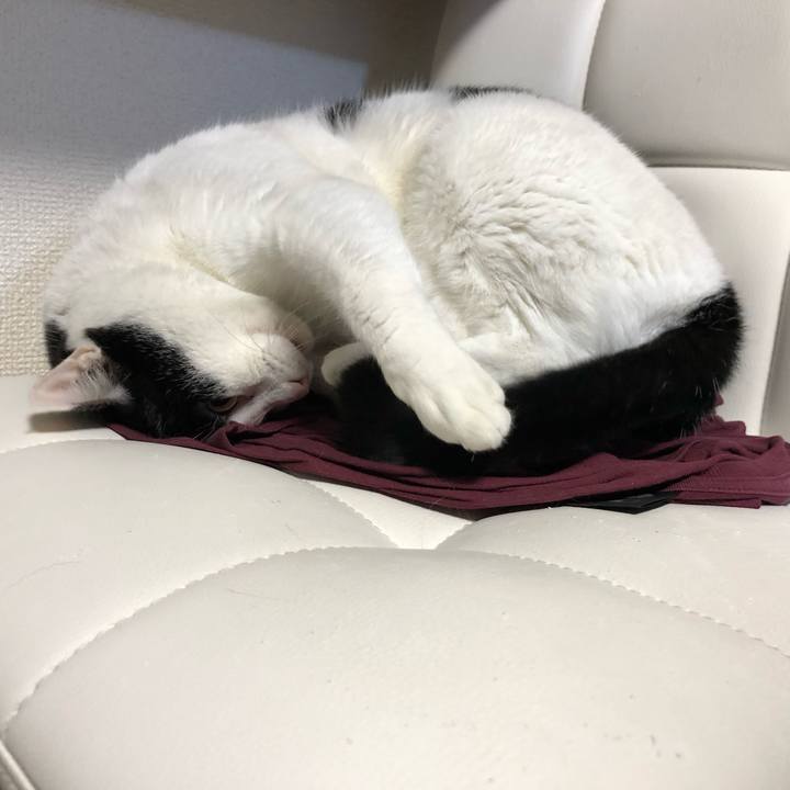 258b78ac f1f3 4962 b666 0f27032c60b6 1572950012527