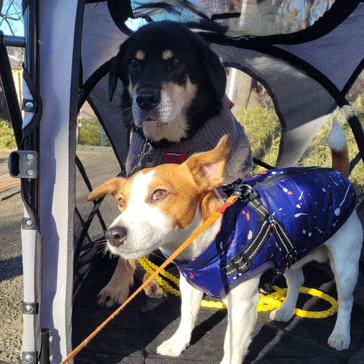 258c070a 7701 4c39 9184 75e71b34059e 1704422676008