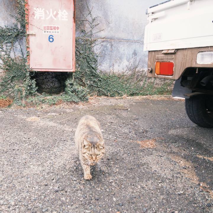 258c15bd 3627 487e b637 dd682fcabeff 1765721264545