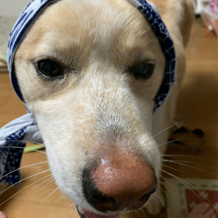 258c19ff e093 4949 b65c 55d631be6748 1591785035538