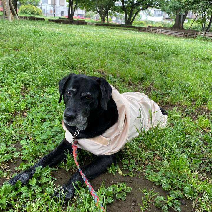 258c25e3 b43d 417c 988f be047ef8315b 1621300612359