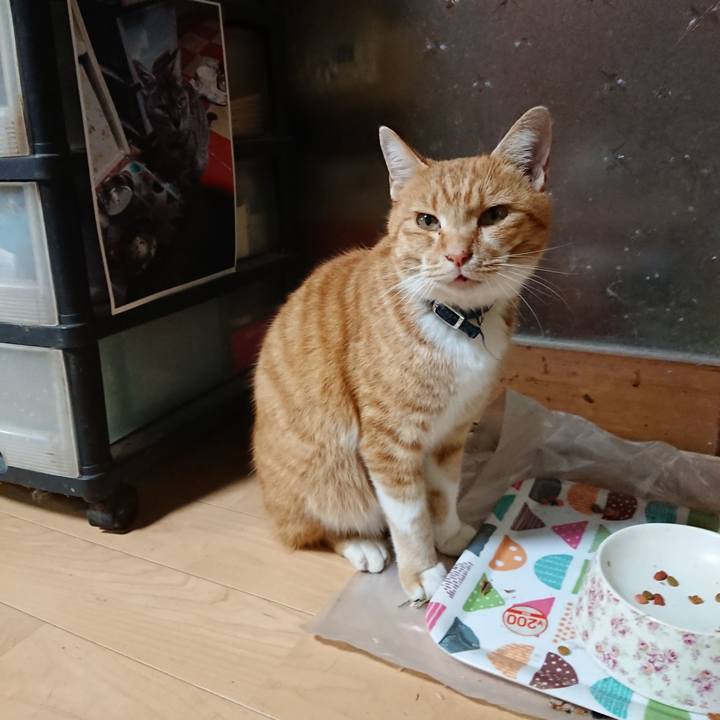 258c2e1d 5674 494f 89a8 84abc13be496 1604306556418