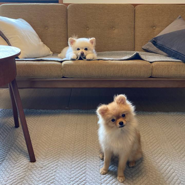 258c556c f5c1 467e a411 687fbfe95db6 1663584953279