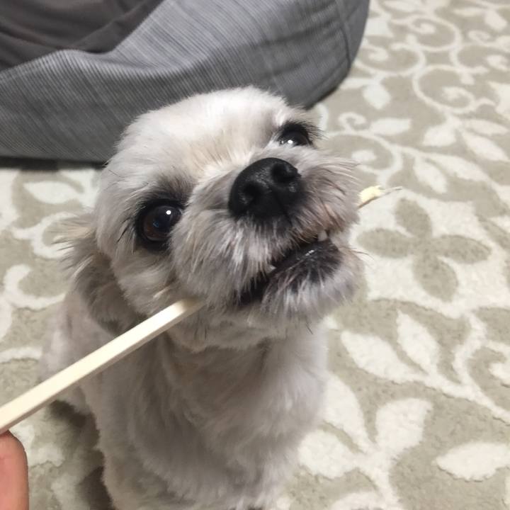 258c6da1 0e17 409a a0e1 2df51117cd7f 1544609848112