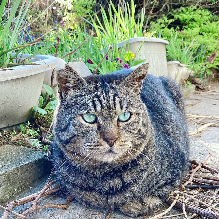 258c8bad 6294 4862 80ae a7acd87fb900 1683177922711