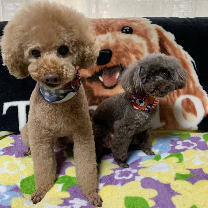 258cb833 6195 4762 99aa 1ffcc80f0460 1574837844036