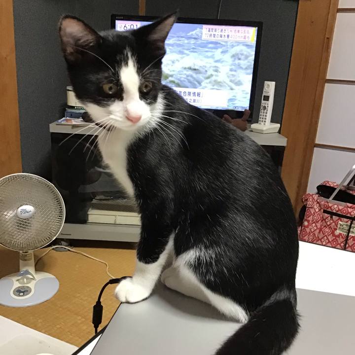 258cbe40 7b8d 41d4 abe6 3335a2f2faf7 1629192545234