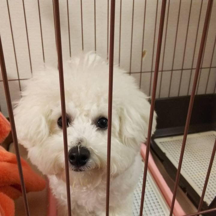 258d0c59 3694 4c02 8631 03589c91791d 1511948134051