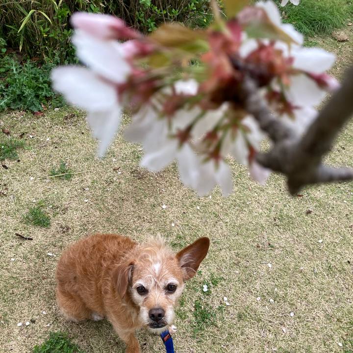 258d20bb a26b 4451 a032 b0cefb2ff941 1712317551051