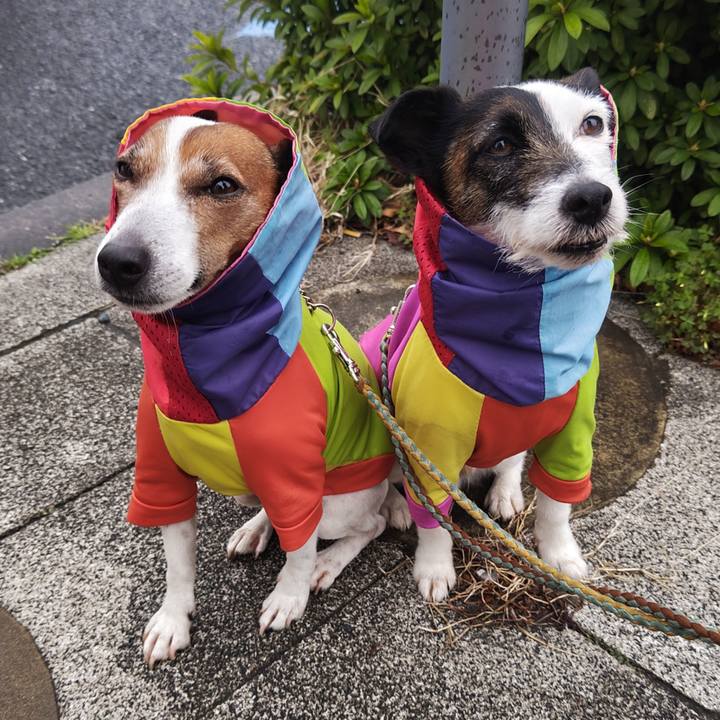 258d2b7c e0e6 4a72 b175 3ba133f2e561 1743631019897