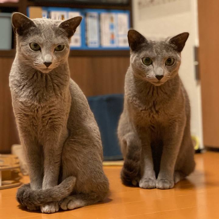 258d380c 55e8 4648 b653 6059af3eb667 1649564098338