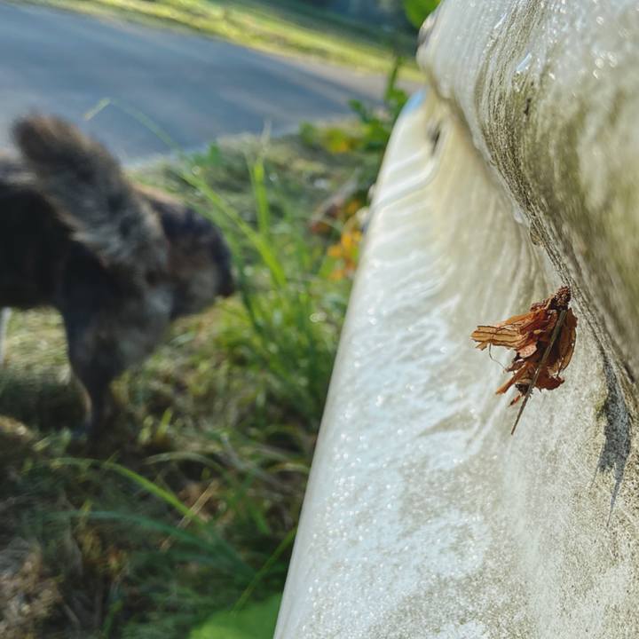 258d3ac6 735b 4705 80db 1f14951c73ee 1591576743222