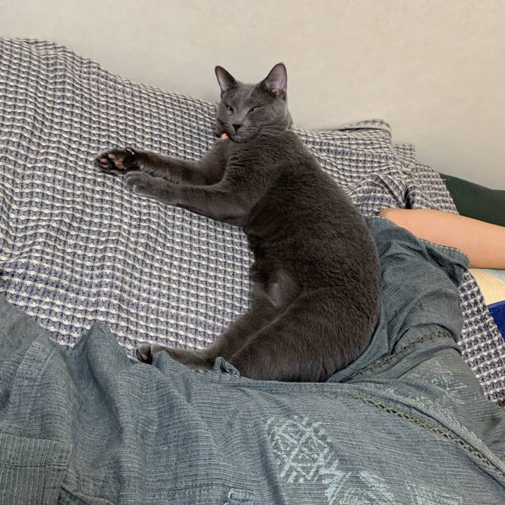 258d6fc9 f882 4b80 9ba8 4f0baff1fe09 1596239623985