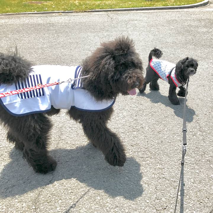 258dd876 3c9f 4516 a9e3 426b72dae0ad 1556890224793