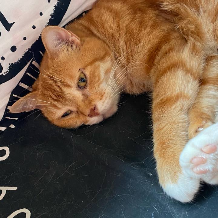 258deb36 72da 46d1 8edd b6925367e19a 1626242634298