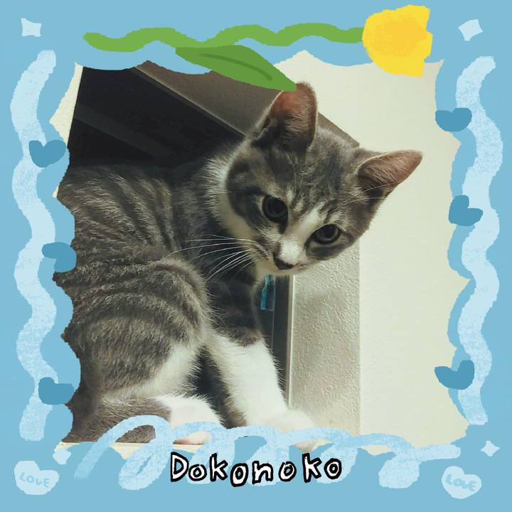 258e21ae 1f30 43e4 bcc9 9f3ca6d1db0f 1772261200955